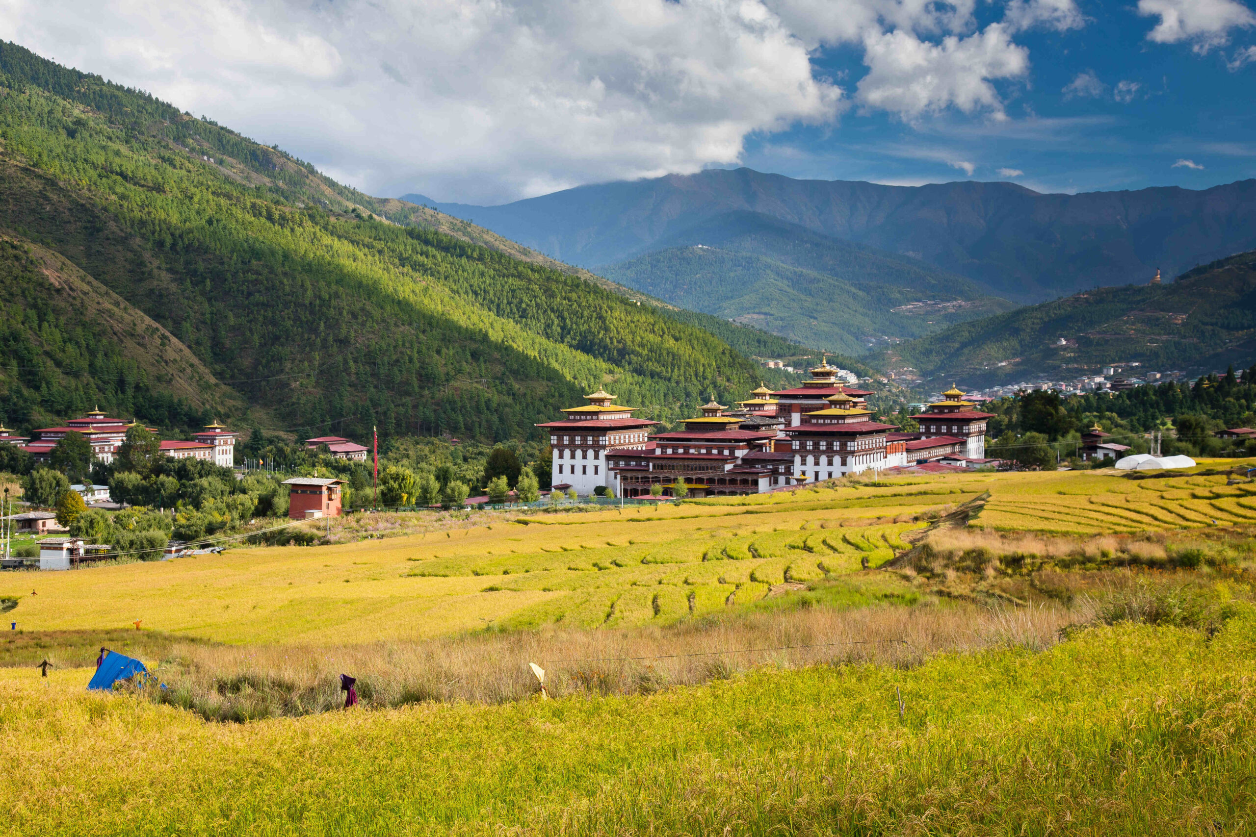 Home paddy dzong oct2014 6