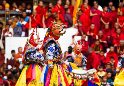 thimphu festival bird 1024x640 p43mh1r6fd9p6l17lxi4eqj9n5bogo3hyewiea79ps
