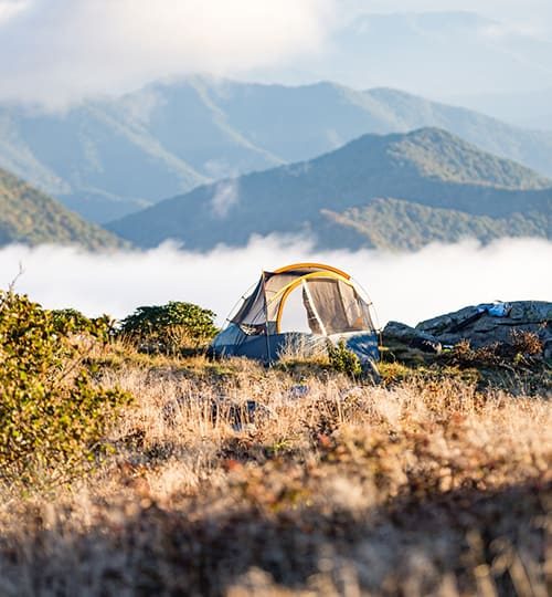 Projects camp 3